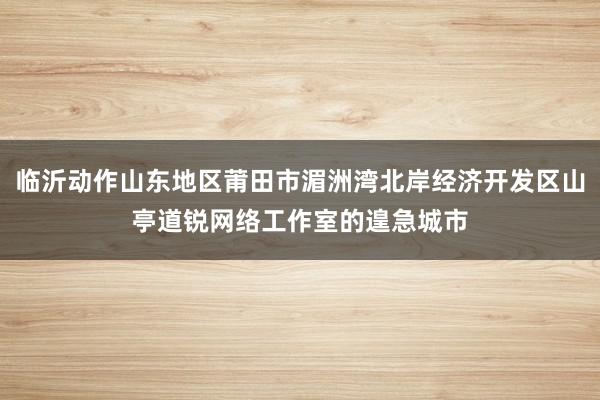 临沂动作山东地区莆田市湄洲湾北岸经济开发区山亭道锐网络工作室的遑急城市
