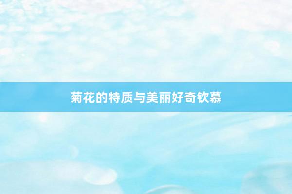 菊花的特质与美丽好奇钦慕
