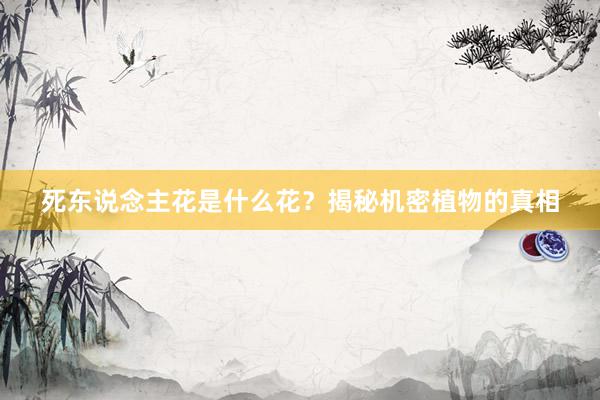 死东说念主花是什么花？揭秘机密植物的真相