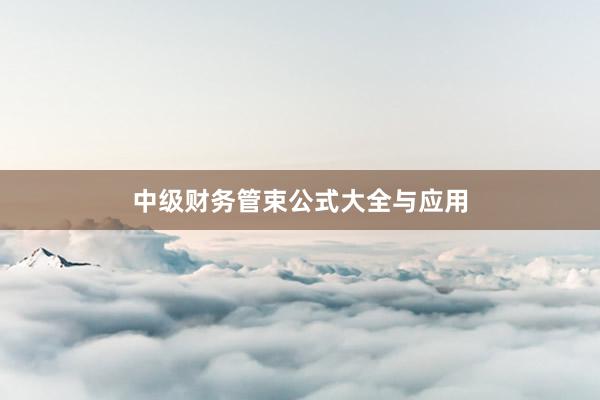 中级财务管束公式大全与应用